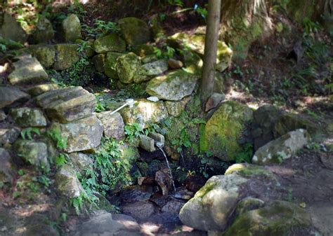 中浦山|下田郷の湧水